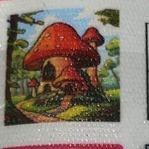 Diamond Art Mushroom House NWT